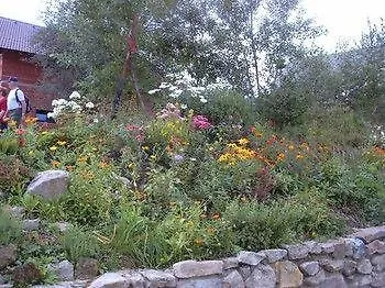 Svehlikova Guest house *
